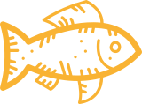 Pesca artigianale esclusiva