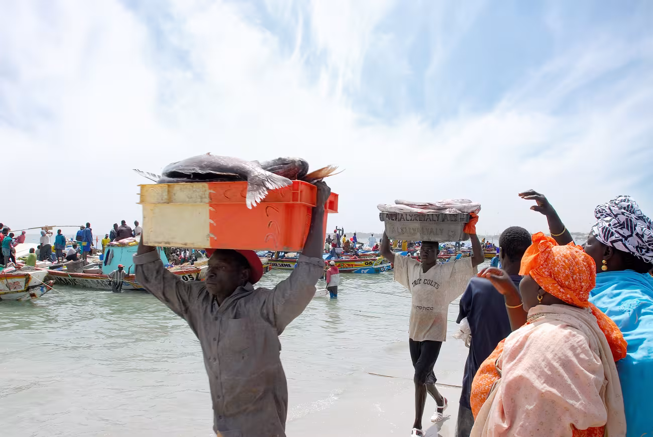 Un ponte diretto tra Africa e mercato italiano